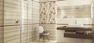 Ceramic Polish Plate